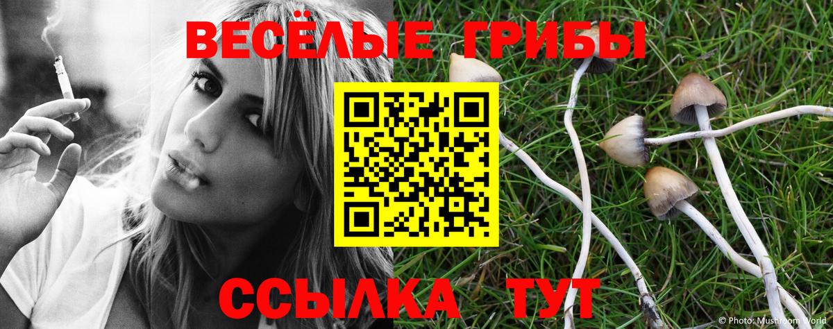 Петрозаводск  Галлюциногенные грибы MAGIC MUSHROOMS  Вход с VPN 